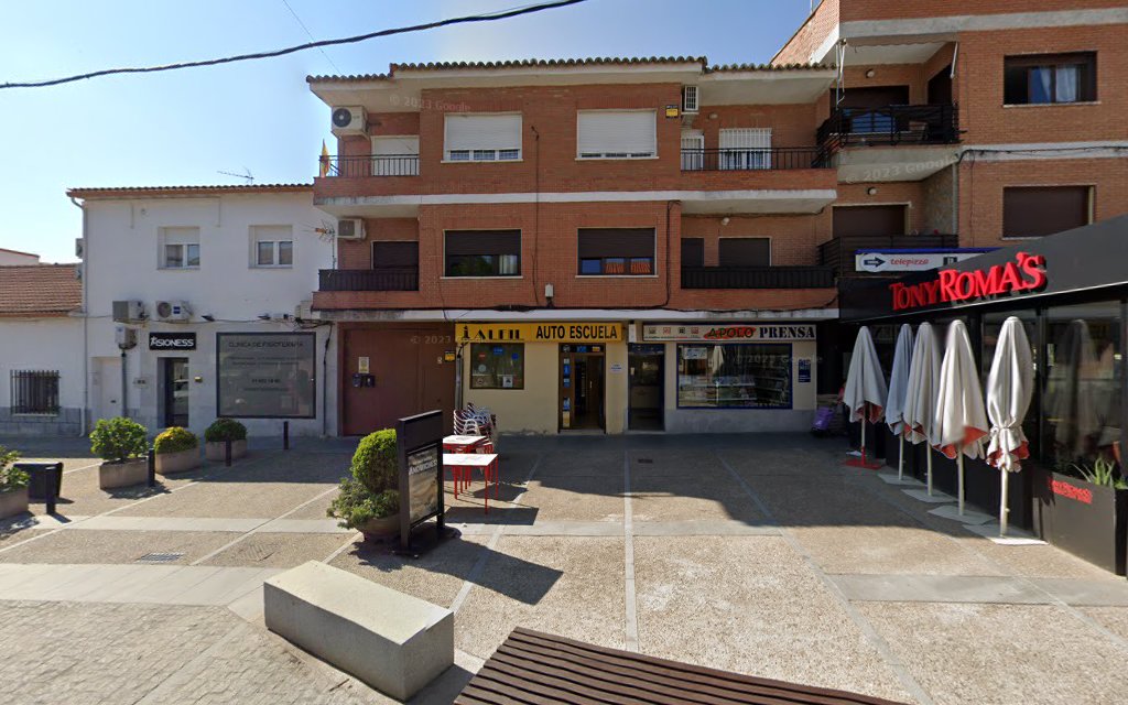 CENTRO DE EDUCACION VIAL ALFIL SL