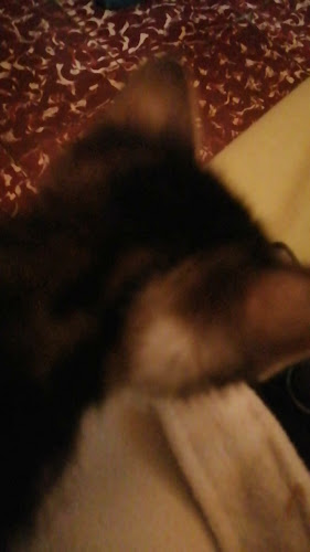 Centro De Transporte Y Formación Vial Zamora