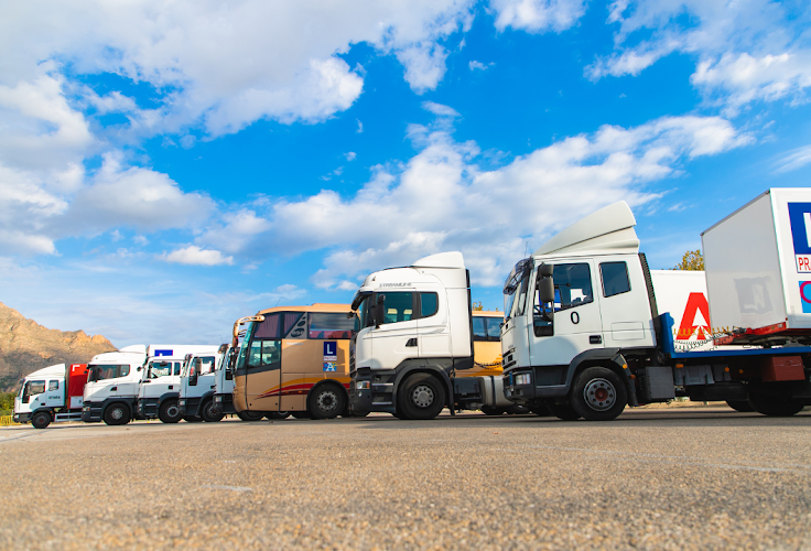 Mejores centros de Recuperación de Puntos en Torrevieja Mejores centros de Recuperación de Puntos en Torrevieja