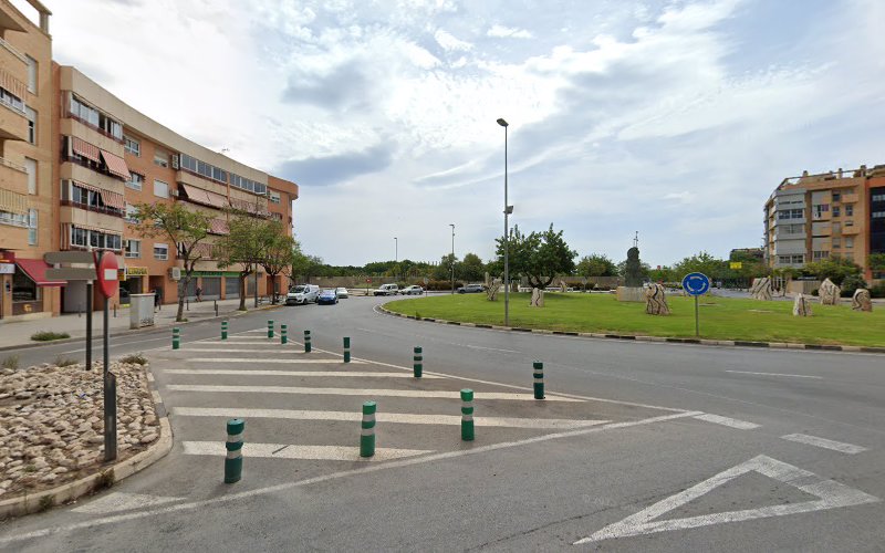 Mejores centros de Recuperación de Puntos en San Vicente del Raspeig