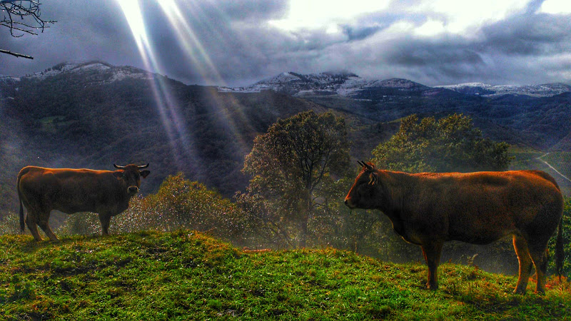Mejores centros de Recuperación de Puntos en Langreo Mejores centros de Recuperación de Puntos en Langreo