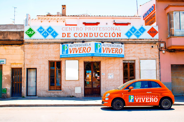 Mejores centros de Recuperación de Puntos en Palma