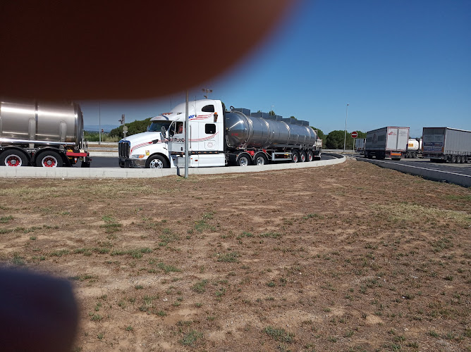 Mejores centros de Recuperación de Puntos en Xàtiva Mejores centros de Recuperación de Puntos en Xàtiva