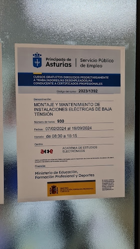 Academia De Estudios Electrónicos